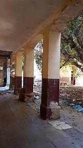 ORAN ECOLE PASTEUR QUI EST SQUATTEE (1)